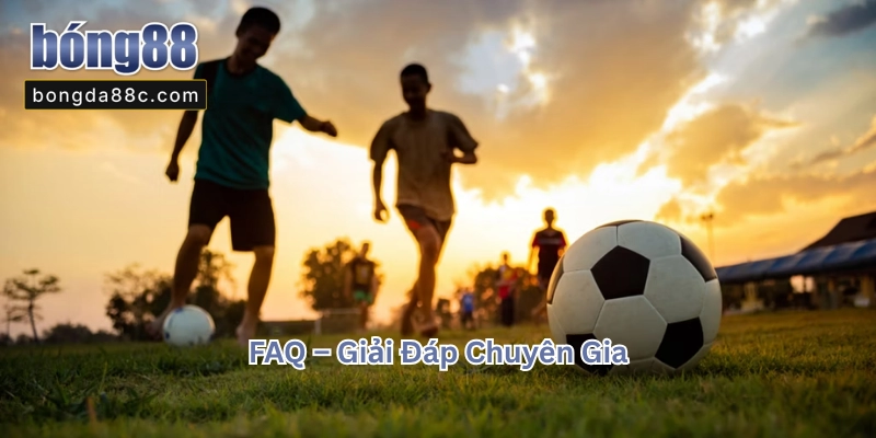 FAQ - Những câu hỏi thường gặp khi tìm hiểu về trang cá cược bóng đá FAQ - Những câu hỏi thường gặp khi tìm hiểu về trang cá cược bóng đá